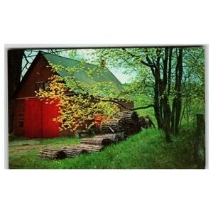 Vintage Plastichrome Postcard Roxbury Vermont Red Barn Spring Woods
